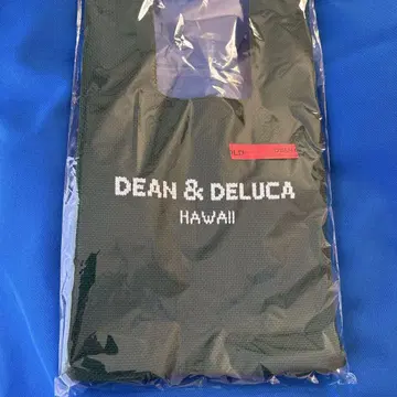DEAN & DELUCA DDH 니트 백 (그린)