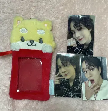 마메치 트레이딩 카드 케이스 트레이딩 카드 포함