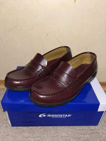 MOONSTAR BVR530 와인