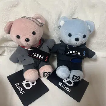 BE:FIRST 곰 봉제 인형 JUNON