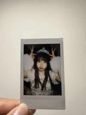 사쿠라바 하야카 생일 폴라로이드