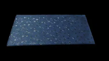 인덴 잠자리 지갑 지갑 네이비 컬러