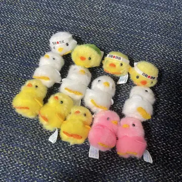 병아리 덕분에 피요리나 묶음 판매