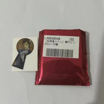명탐정 코난 열쇠구멍 핀즈 모로후쿠 타카아키
