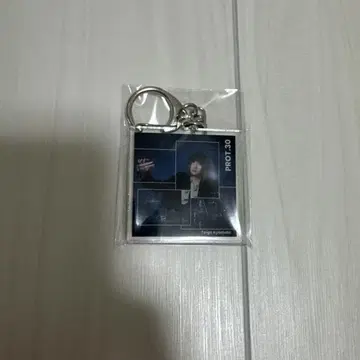 당일 익명으로 배송 교모토 타이가 아크릴 키링