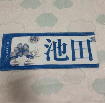 이케다 에이사 타월