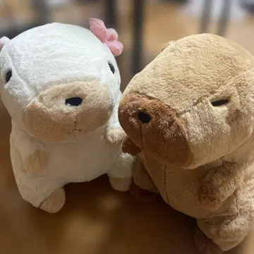 카피바라 봉제 인형
