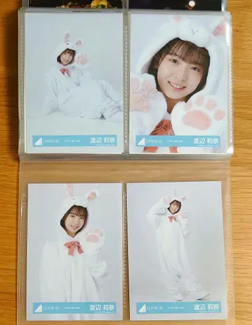 히나타자카46 와타나베 리나 동물 인형옷