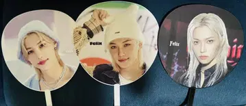straykids 필릭스 Felix 부채 3개 세트