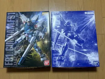 MG 건담 F91 var2.0&F91 var2.0 해리슨 매딘 기체