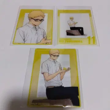 츠키시마 케이 아쿠카 하이큐 도부 동물공원