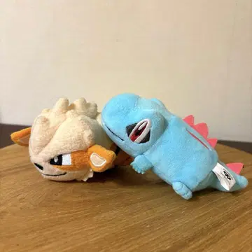 포켓몬 테니노코린 프렌즈 윈디 와니노코