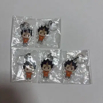 하이큐!! 메지루시 액세서리 니시타니 5개 세트