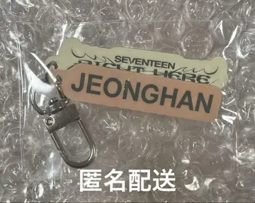 SEVENTEEN RIGHT HERE 캡슐 토이 키링 정한