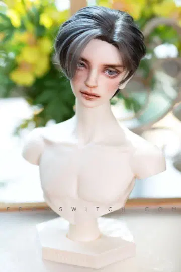 SWITCH 가발 Kalettes Cut B London Gray