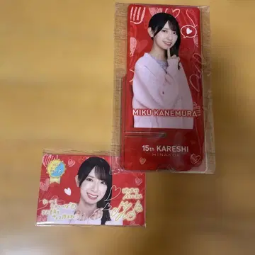 히나코이 제15회 카레시 이벤트 리얼 혜택