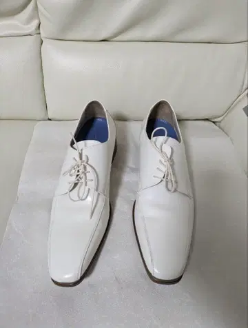 베닐 26cm