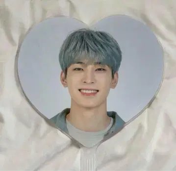 SEVENTEEN 세부치 2020 cartaland 부채 원우