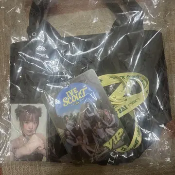 Ive SCOUT VIP 업그레이드 혜택 미사용