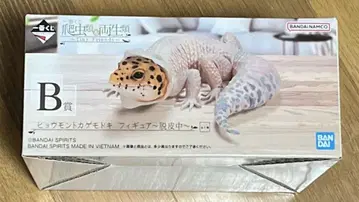 제일복권 파충류 및 양서류 B상