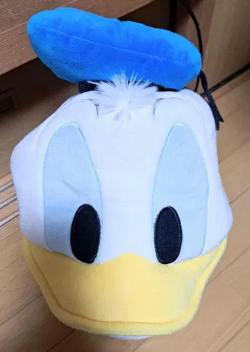 USJ 도널드 덕 플루토 모자