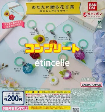 당신에게 선물하는 꽃말 메지루시 액세서리 8종 컴플리트 컴프
