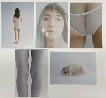 베니쇼가 이나다 미키 MARRY MIKI 엽서 5종 도쿄
