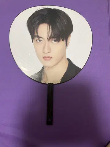 하르토 부채