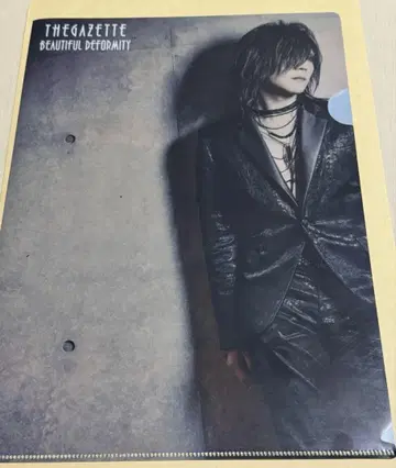 the GazettE 굿즈