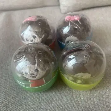 몬치치 봉제 인형 배지 컴플리트 세트 가챠가챠