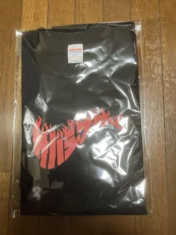 사바시스터 SABA STANDARD 티셔츠 파이어 로고 새상품 XL