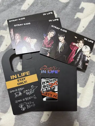 straykids IN 생 한정판 앨범