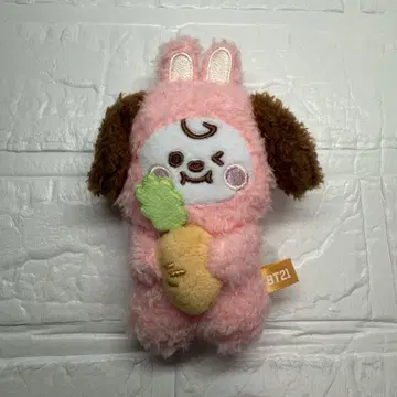 BTS 치미 토끼 인형옷 마스코트 봉제 인형