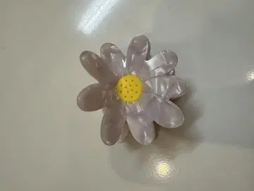 헤어 클립 프랑스 쿠쿠제트