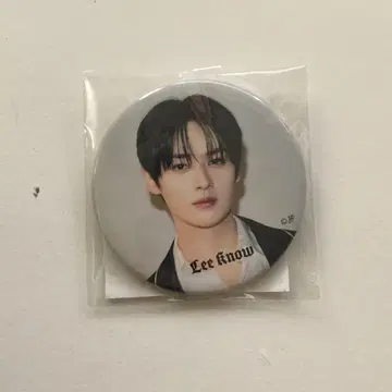 straykids dominATE 리노 캔 배치