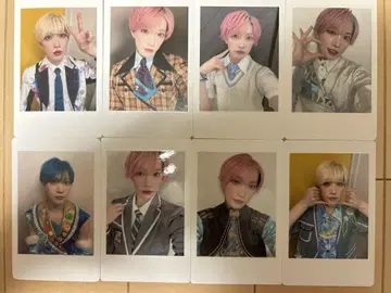 팬더 드래곤 파라곤 하피카 타이