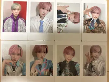 팬더 드래곤 파라곤 하피카 타이
