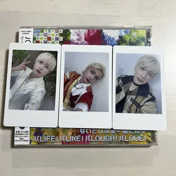 팬더 드래곤 파라곤 요타 하피카