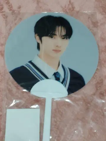 TWS 용제 부채 펜미