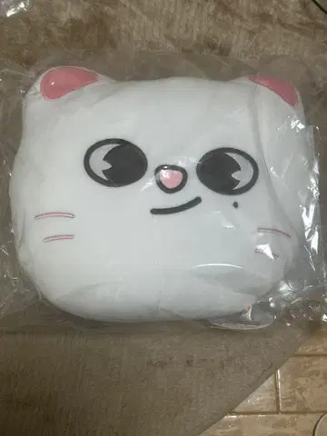 SKZOO Jiniret 현진 쿠션