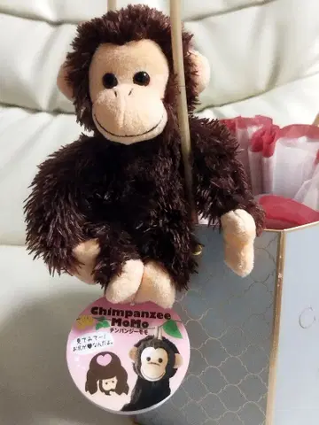 침팬지 MoMo 봉제 인형