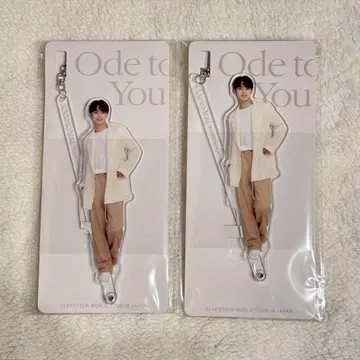 SEVENTEEN 아크릴 스틱 민규 2개