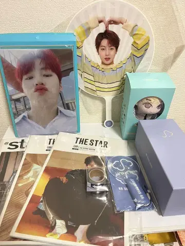 Wanna One 송웅 응원봉