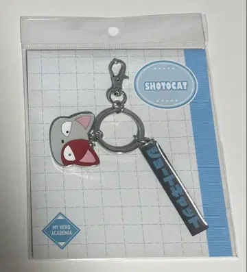 나의 히어로 아카데미아 토도로키 쇼토 숏 캣 백 참