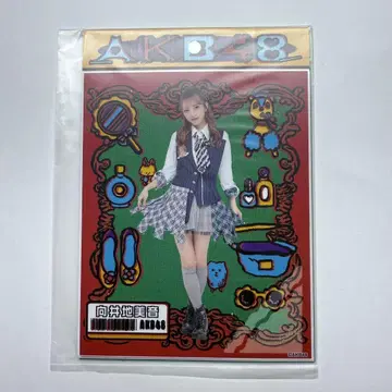 AKB48 다이마루 대의상전 브로마이드 무카이 미네