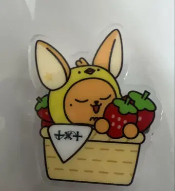 TXT 팬 후쿠오카 지역