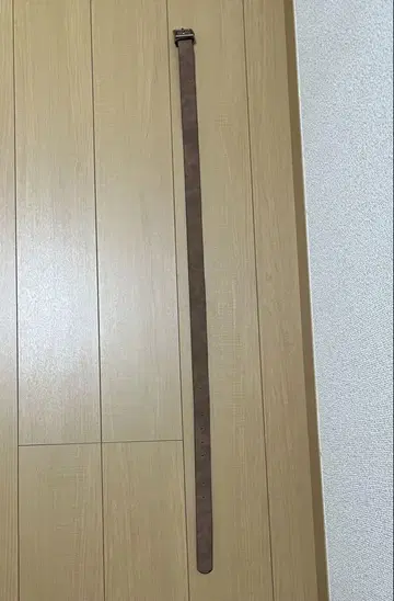 벨트