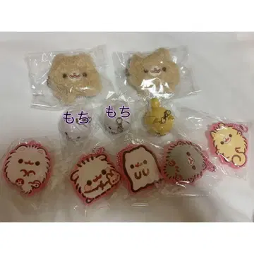 포메라니안 모치 묶음 판매