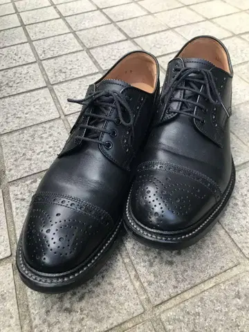 셰틀랜드 폭스 햄프턴 115F 25.5cm