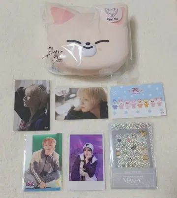 straykids 포키니 온라인 복권 skzoo mini box